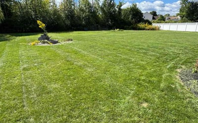 Photo of Mario G.'s yard after getting lawn care in Grand Island, NY