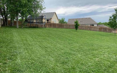 Photo of Desarae H.'s yard after getting lawn care in Kansas City, MO
