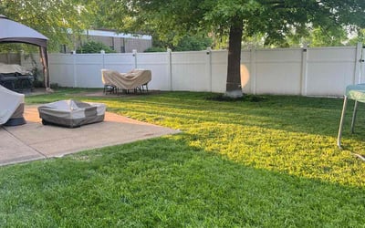 Photo of Marcus d.'s yard after getting lawn care in Festus, MO