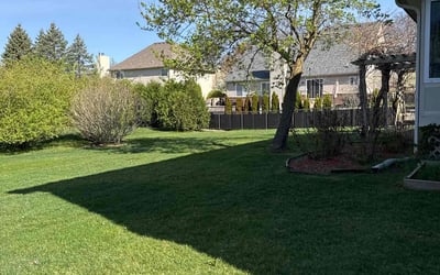 Photo of Dan D.'s yard after getting lawn care in Wixom, MI