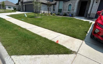 Photo of Jessyka Q.'s yard after getting lawn care in Kaufman, TX