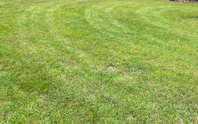 Photo of Lynda J K.'s yard after getting lawn care in Coventry, CT