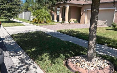 Photo of Kim M.'s yard after getting lawn care in Sun City Center, FL