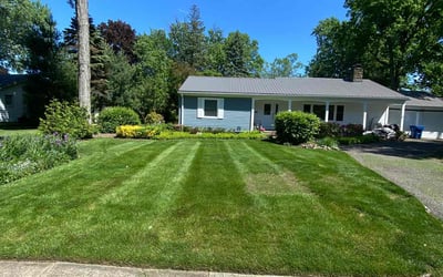 Photo of Chad L.'s yard after getting lawn care in Spring Hill, TN