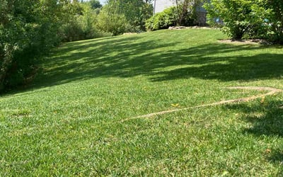 Photo of Mindy T.'s yard after getting lawn care in Golden Valley, MN