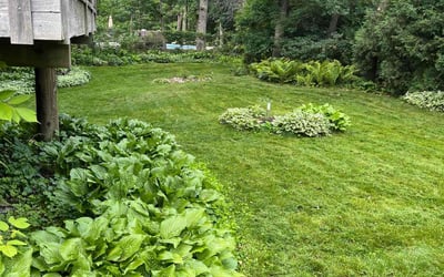 Photo of Gavin W.'s yard after getting lawn care in Austin, TX