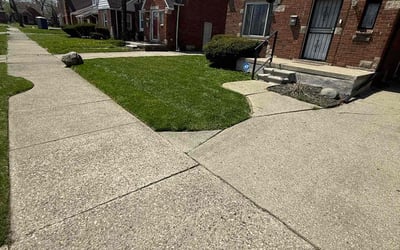 Photo of Amy E.'s yard after getting lawn care in Detroit, MI