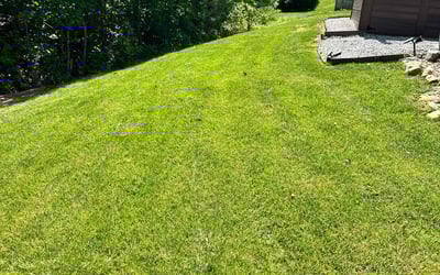 Photo of Allen W.'s yard after getting lawn care in Providence Forge, VA