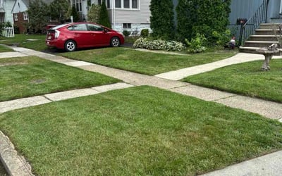 Photo of Evelyn W.'s yard after getting lawn care in Beverly, NJ