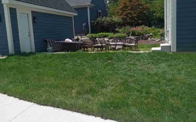 Photo of Bina H.'s yard after getting lawn care in Northville, MI