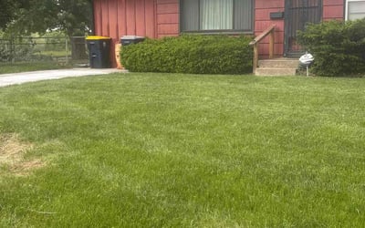 Photo of Lisa P.'s yard after getting lawn care in Saint Paul, MN