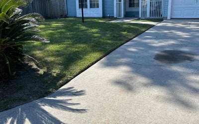 Photo of Barbara S.'s yard after getting lawn care in Charleston, SC