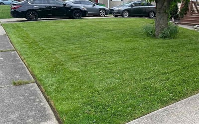 Photo of Crystal L.'s yard after getting lawn care in Garfield Heights, OH