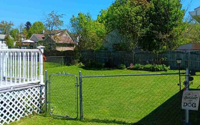 Photo of Sandee N.'s yard after getting lawn care in Binghamton, NY