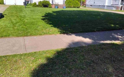 Photo of Dion D.'s yard after getting lawn care in Euclid, OH