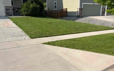 Photo of Dawn C.'s yard after getting lawn care in Lake Villa, IL