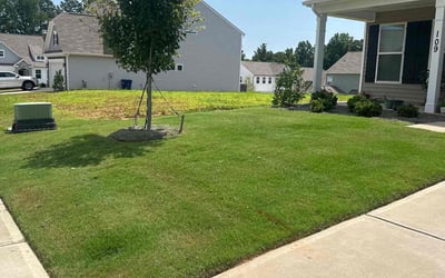 Photo of Michael W.'s yard after getting lawn care in Statesville, NC