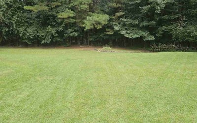 Photo of Demonica M.'s yard after getting lawn care in Bremen, GA