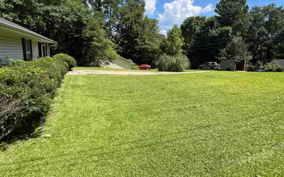 Photo of Shamya M.'s yard after getting lawn care in Forest Park, GA