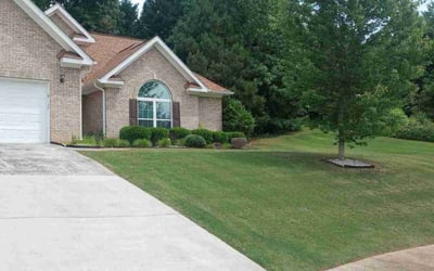 Photo of JOANN A.'s yard after getting lawn care in Soddy Daisy, TN