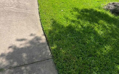 Photo of George S.'s yard after getting lawn care in Cloverleaf, TX