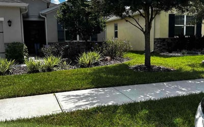 Photo of Anna S.'s yard after getting lawn care in Brooksville, FL