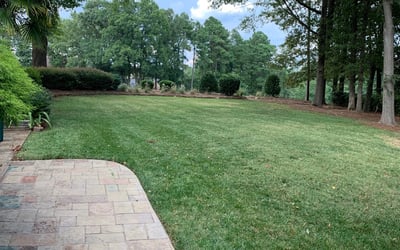 Photo of Stephany C.'s yard after getting lawn care in Southport, NC
