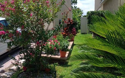 Photo of Tyler S.'s yard after getting lawn care in Menifee, CA