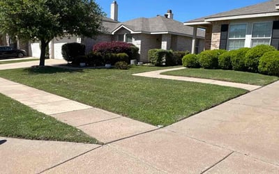 Photo of Amanda S.'s yard after getting lawn care in East Hampton, NY