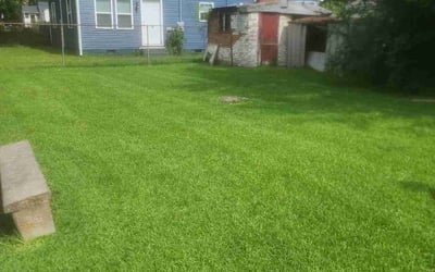 Photo of Kimberly C.'s yard after getting lawn care in Rock Hill, SC