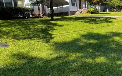 Photo of Christian M.'s yard after getting lawn care in Marietta, GA