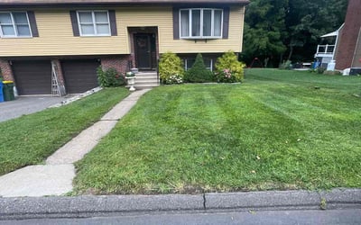 Photo of Khamali K.'s yard after getting lawn care in Waterbury, CT