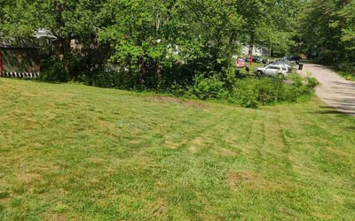 Photo of Patricia M.'s yard after getting lawn care in Somersworth, NH