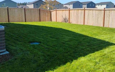 Photo of Melissa N.'s yard after getting lawn care in Graham, WA