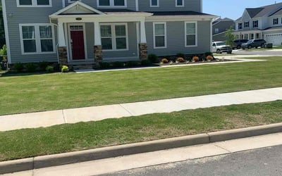 Photo of Michelle E.'s yard after getting lawn care in Fruitland Park, FL