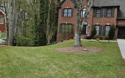 Photo of Terry H.'s yard after getting lawn care in Mableton, GA