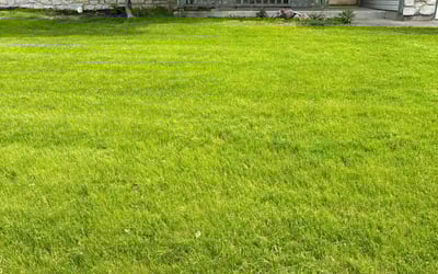 Photo of Brent H.'s yard after getting lawn care in Camby, IN