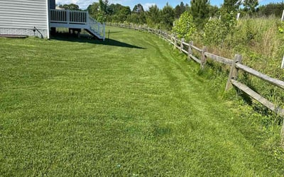 Photo of Mrs. H.'s yard after getting lawn care in Clinton, MD
