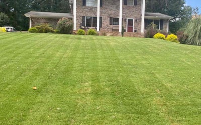 Photo of Jeremy F.'s yard after getting lawn care in Roswell, GA