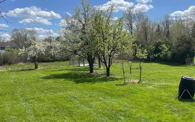 Photo of Rodney R.'s yard after getting lawn care in Beachwood, OH