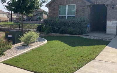 Photo of Alejandra T.'s yard after getting lawn care in Natalia, TX