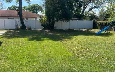 Photo of Michael F.'s yard after getting lawn care in Asheville, NC