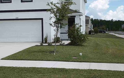 Photo of Rhiannon S.'s yard after getting lawn care in Odessa, FL