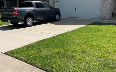 Photo of Pamela W.'s yard after getting lawn care in Kirkland, WA