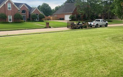 Photo of Andrea B.'s yard after getting lawn care in Collierville, TN