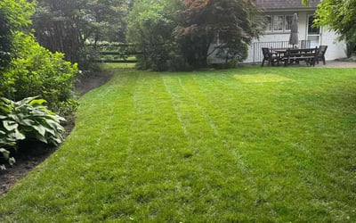 Photo of Nina J.'s yard after getting lawn care in Telford, PA