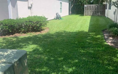 Photo of William S.'s yard after getting lawn care in Ridgewood, NY