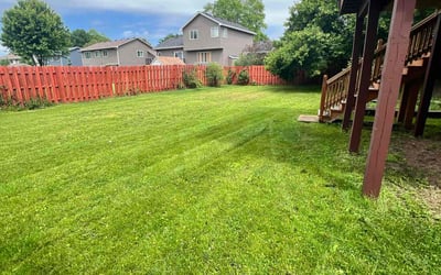 Photo of George W.'s yard after getting lawn care in Moorhead, MN