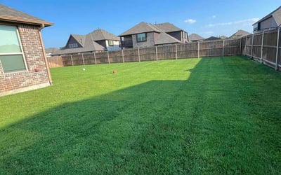 Photo of Cody G.'s yard after getting lawn care in DeSoto, TX