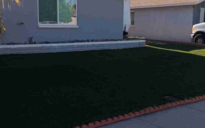 Photo of Jim E.'s yard after getting lawn care in Glendale, AZ